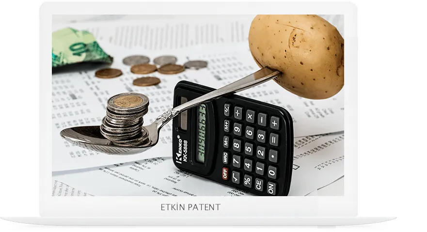 finansal davranışlara dair kombinasyon modeller-Manisa Patent